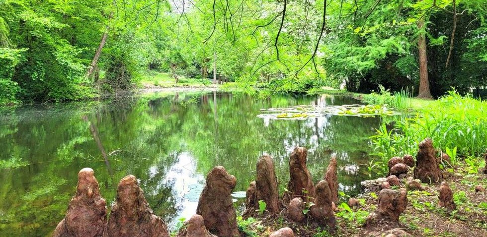 Parc botanique de Launay, Orsay, France, France